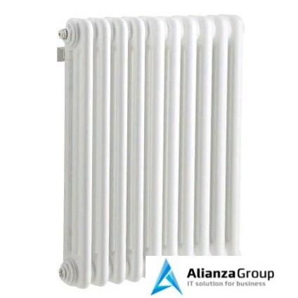 Стальной трубчатый радиатор 3-колончатый IRSAP TESI 30565/10 №25