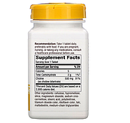 Nature's Way, Холин, 500 мг, 100 таблеток, фото 2