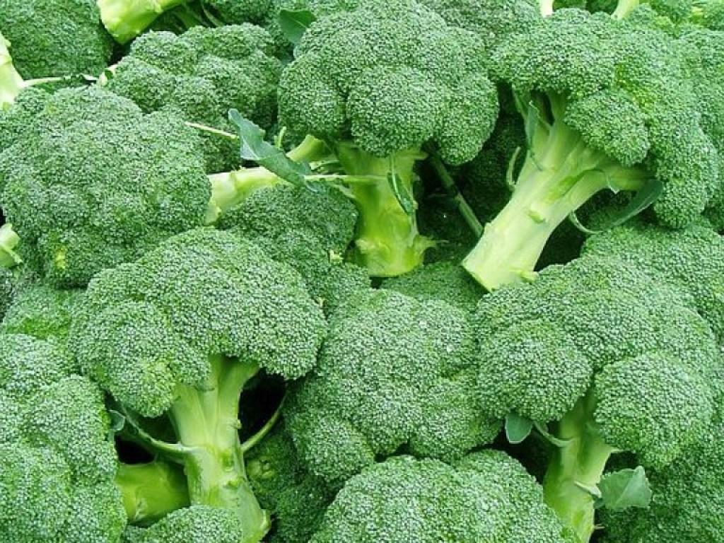 капуста брокколи калорийность. брокколи бжу на 100. брокколи энергетическая ценность. капуста брокколи калорийность вареная. капуста брокколи калорийность.