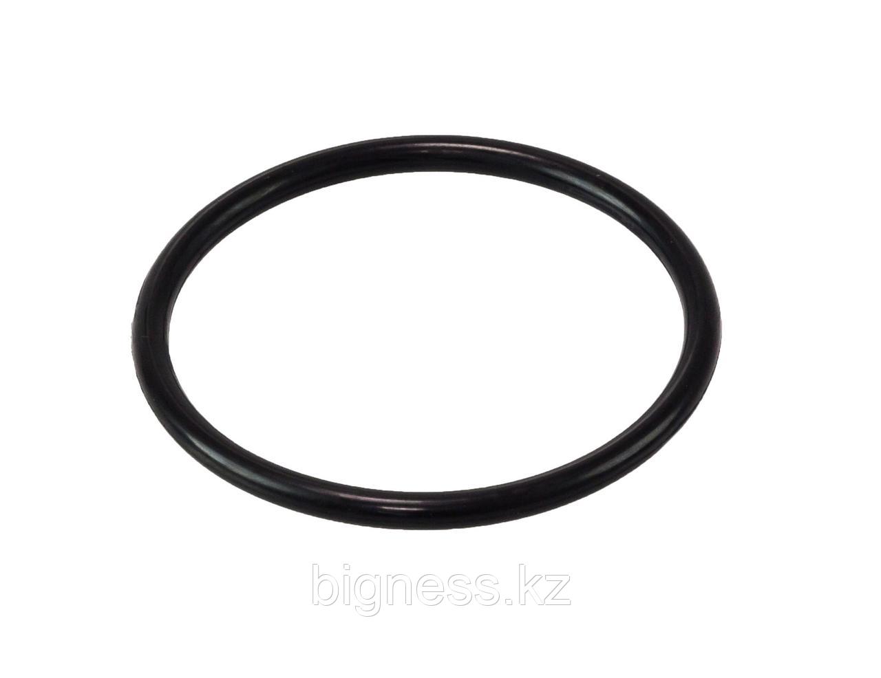 Прокладка кольцевая №46 (№04851290) для расходомер LPG Yenen YGM пропан-бутан