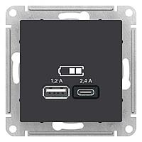 USB 2-ші типті А+С розеткасы (қайта зарядтауға арналған), к міртекті талшық, Atlas Design сериясы, Schneider Electric