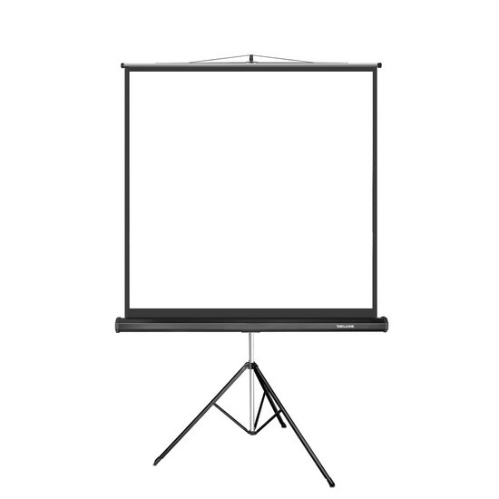 ЭКРАН НА ТРЕНОГЕ DELUXE DLS-T180XW