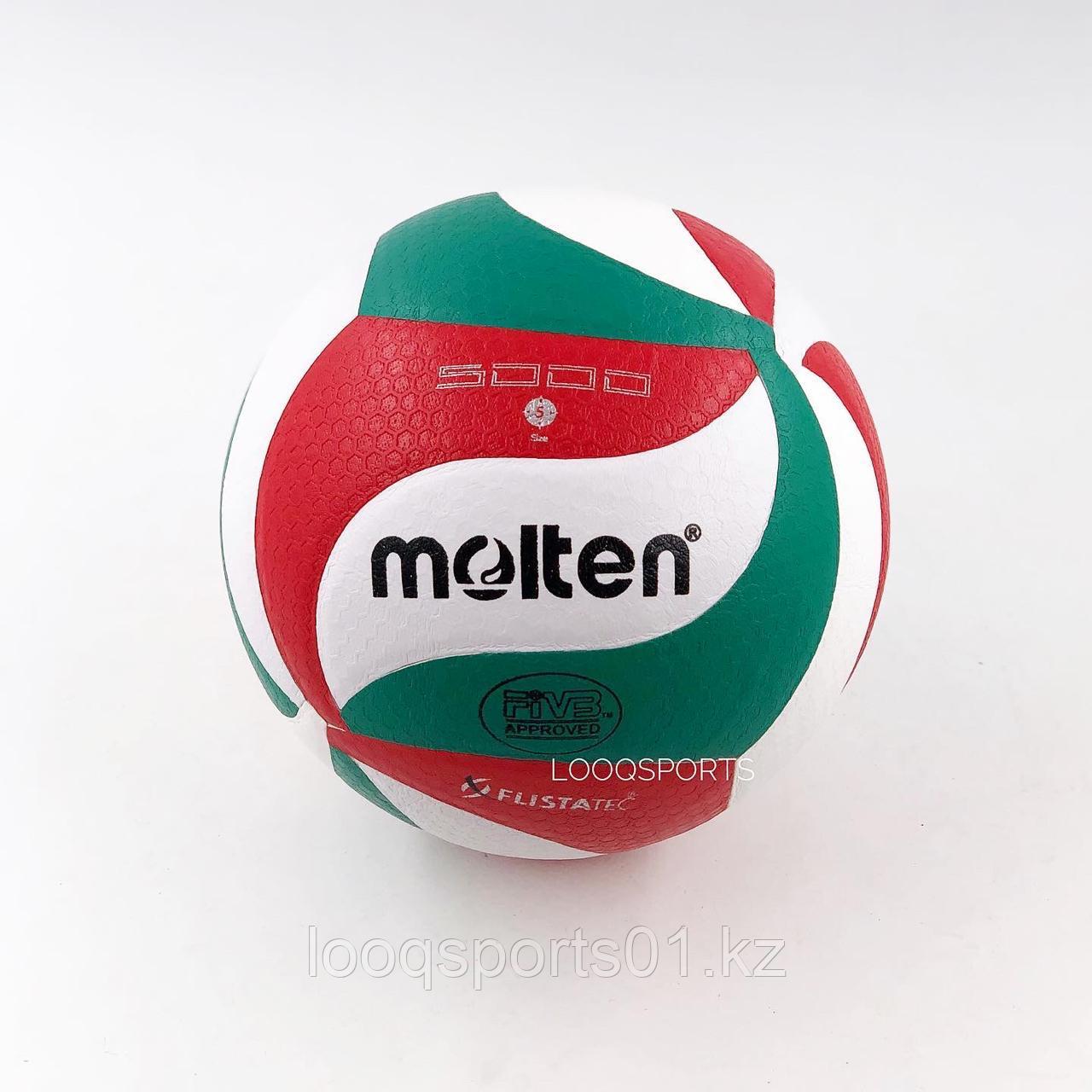 Мяч волейбольный Molten 5000