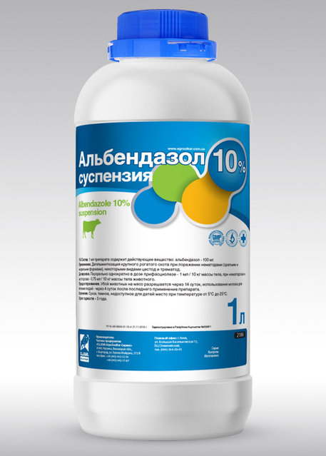 Сізді ақылсыз ететін секс трюктары Мультфильм достары періштелер Раф пен Сульфус секспен