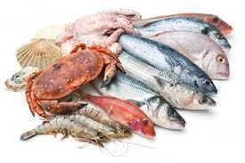 Рыба и Морепродукты 
