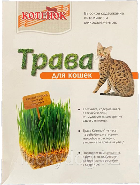 Травка для кошек - семена для проращивания Котенок