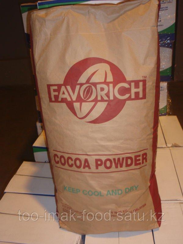 Какао Малайзийский Favorich Cocoa Powder - фото 1 - id-p76385256