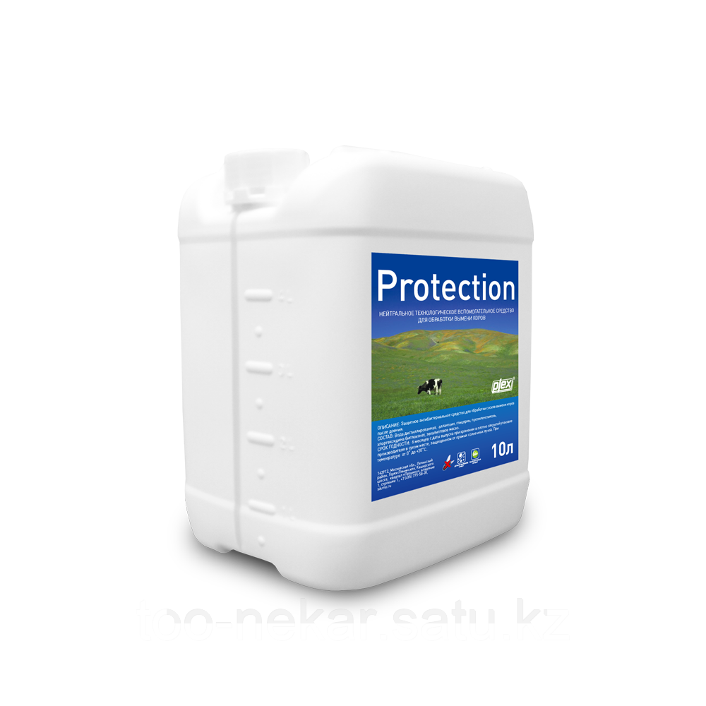 PROTECTION I2800 10л