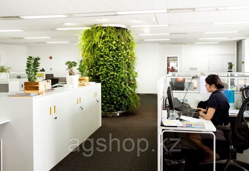 Озеленение офиса и офисных помещений искусственными растениями