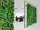 Озеленение офиса и офисных помещений искусственными растениями, фото 3