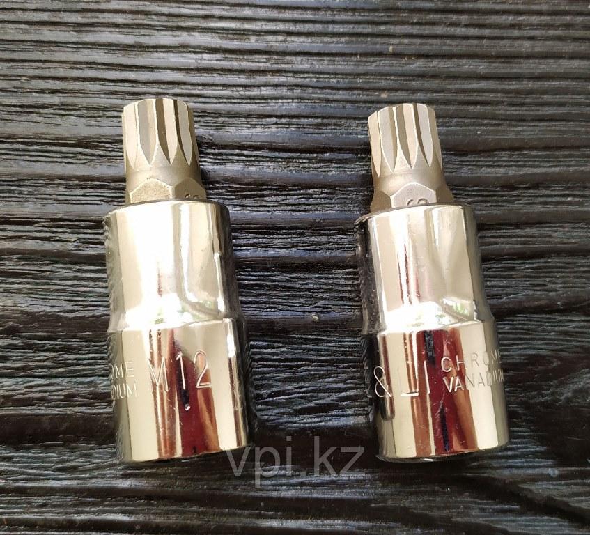 Торцевая головка с битой SPLINE, М12, 1/2" De&Li