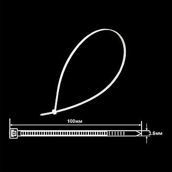 Хомут 3,6х100 UNIT (100/200)