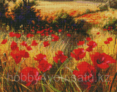 Картина круглыми стразами, 40*50см, фото 2