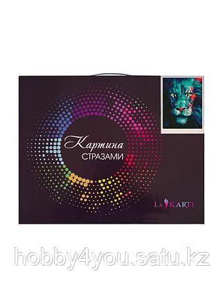 Картина круглыми стразами, 40*50см, фото 2