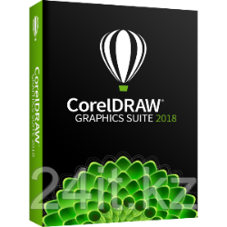 CorelDRAW Graphics Suite 2019 Windows BOX