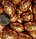 Шоколадные яйца (Золотые с полоской) 1кг, фото 3