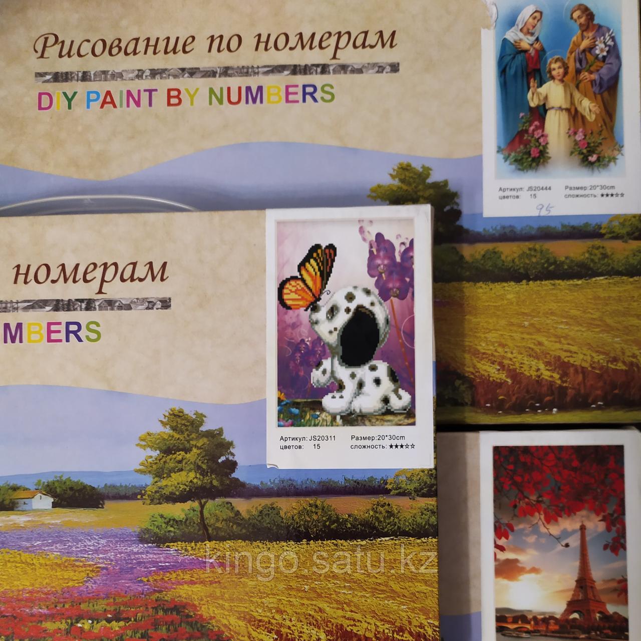 Картины по номерам 20*30 см