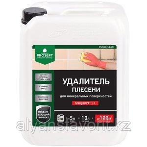 FUNGI CLEAN - удалитель плесени 5 литров (концентрат). РФ