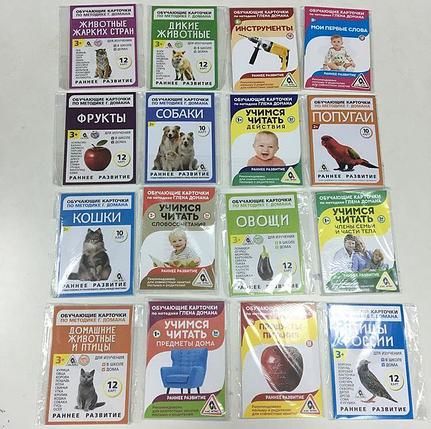 Обучающие карточки по методике Глена Домана, фото 2