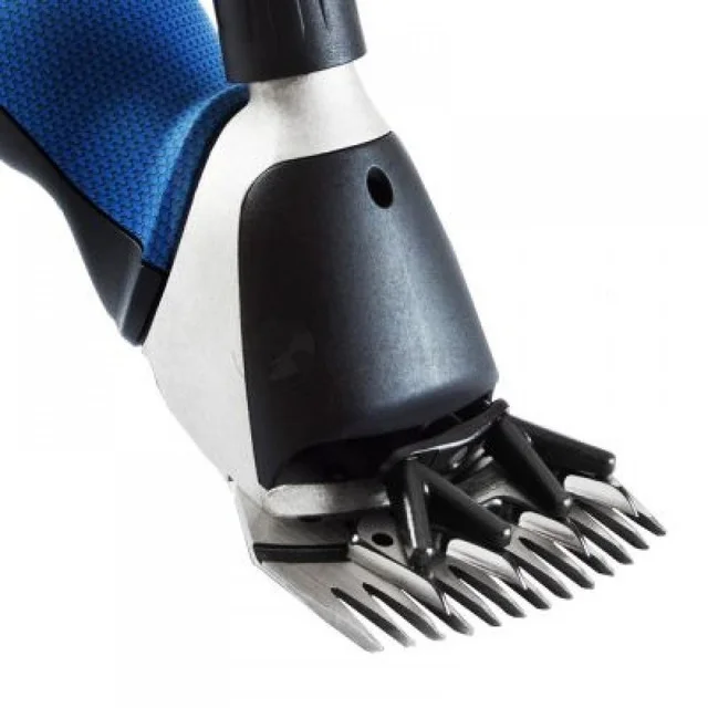 Әйелдер қатты порно спермы Хардкор порно әдемі фото