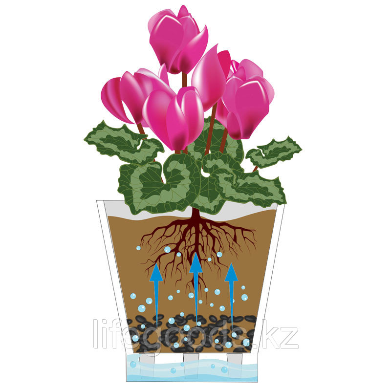 Горшок цветочный "Лея" двойной (с автополивом), 5 л, Прозрачный, М7885 - фото 4 - id-p76773651