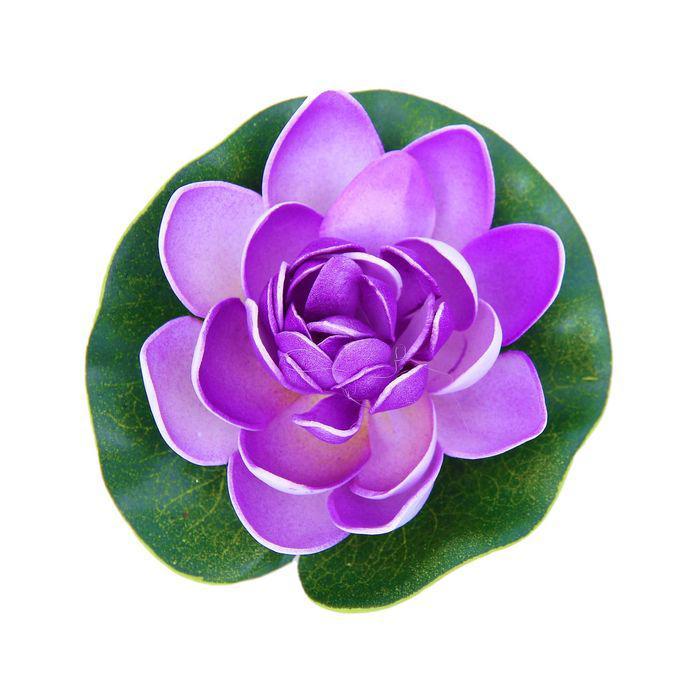 Секс еркек әйелдің кискасын жалайды