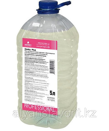 TETRANYL - средство для мытья посуды с дез. эфектом- без запаха. 5 литров.РФ, фото 2