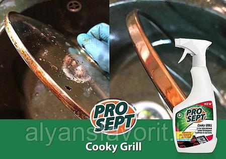 Cooky Grill - средство для удаления пригоревшего жира. 5 литров.РФ, фото 2
