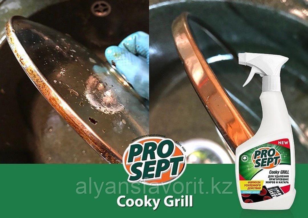 Cooky Grill - средство для удаления пригоревшего жира-концентрат. 5 литров.РФ - фото 2 - id-p66906085