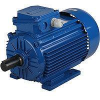 Асинхронный электродвигатель 160 кВт/750 об мин АИР355МА8 - фото 1 - id-p76847892