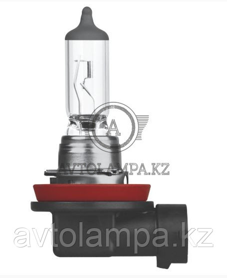 Лампа H8 (35W стандарт) - фото 2 - id-p76868639