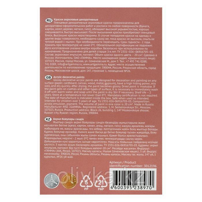 Краска акриловая, набор 6 цветов х 20 мл, Гамма "Хобби", морозостойкая, глянцевая, 3012196 - фото 4 - id-p76893261