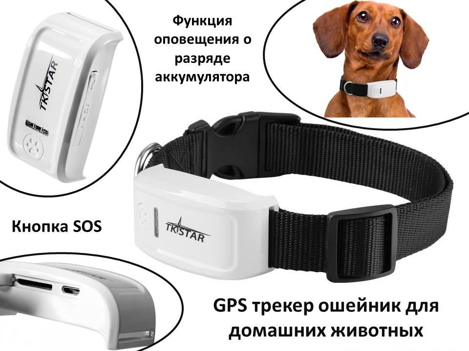 GPS трекер ошейник для домашних животных, TK-STAR TK909 - фото 1 - id-p76900023