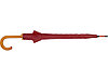 Зонт-трость Радуга, бордовый, фото 6