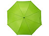Зонт-трость Concord, полуавтомат, зеленое яблоко, фото 5