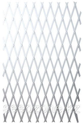 Тепловентилятор Oasis SG-20R, фото 1