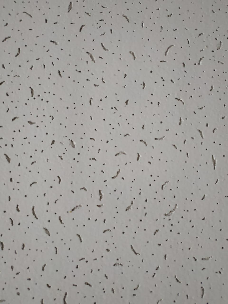 Плита потолочная Армстронг Шымкент, фото 1