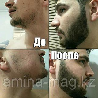 Қояндармен порно