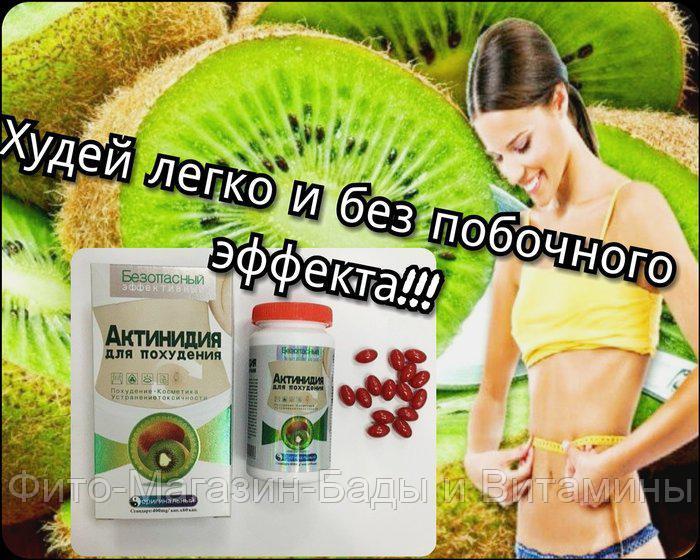 Актинидия капсулы для похудения БАД
