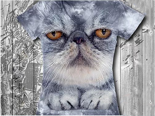 "Кот важный" Женская футболка варенка с 3D принтом