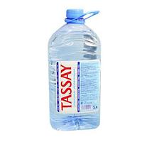 Вода минеральная TASSAY без газа 5л, пластик