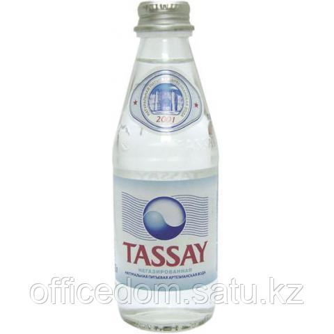 Вода минеральная TASSAY без газа, 0,25л, стекло - фото 1 - id-p77065560