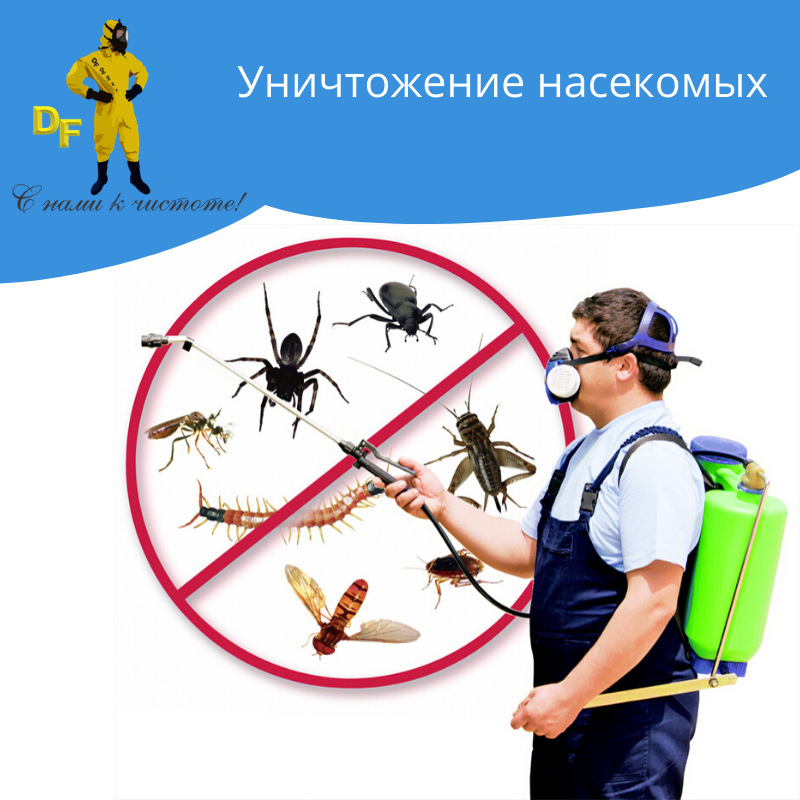 Уничтожение тараканов и других насекомых без запаха - фото 1 - id-p59368627