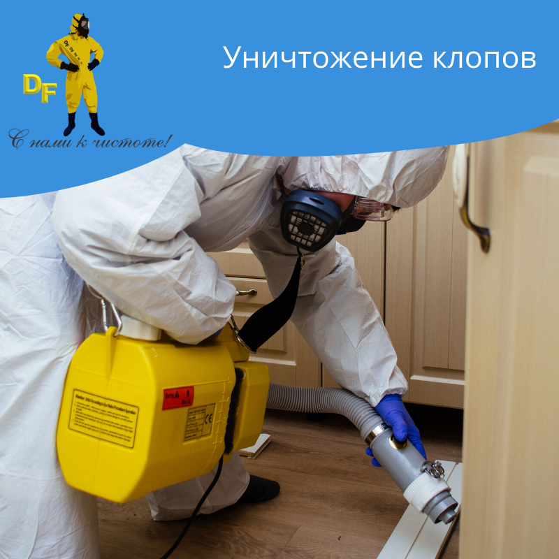 Уничтожение клопов в 1 ком квартире без запаха за две обработки