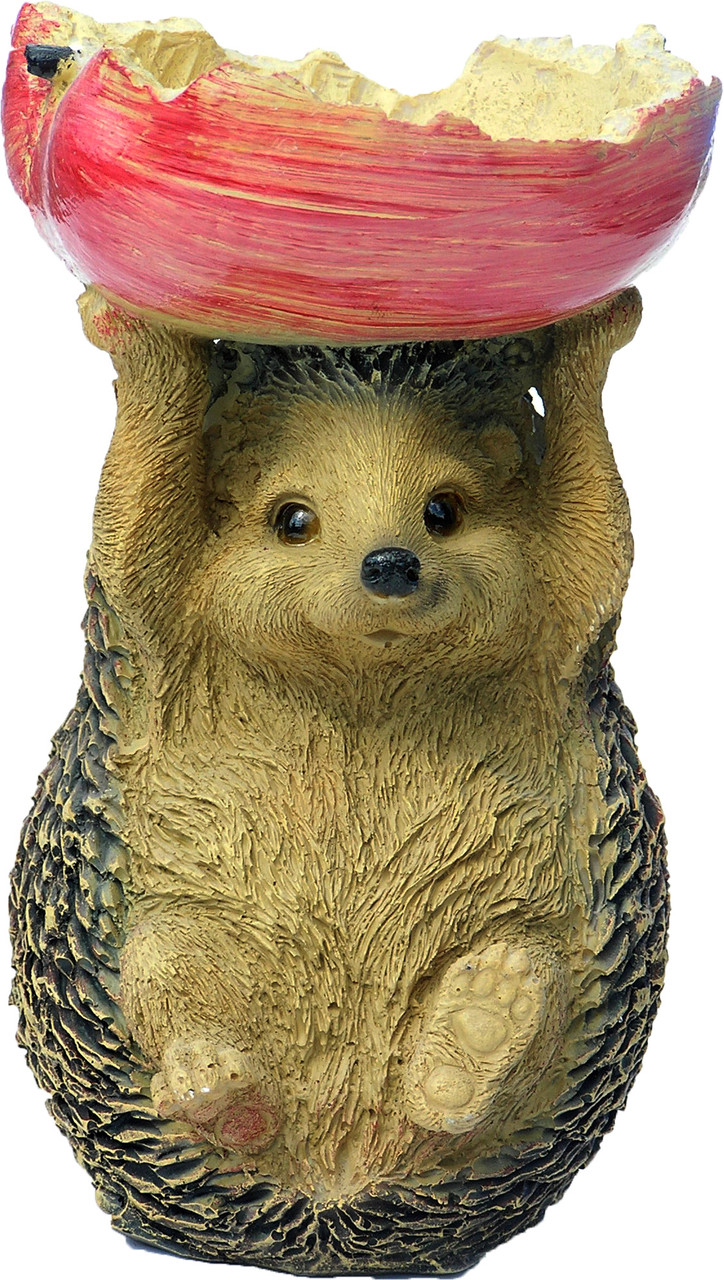 VIP қынап суреті