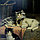 «Игра котят»  Cornelis Raaphorst  (1875-1954), фото 4