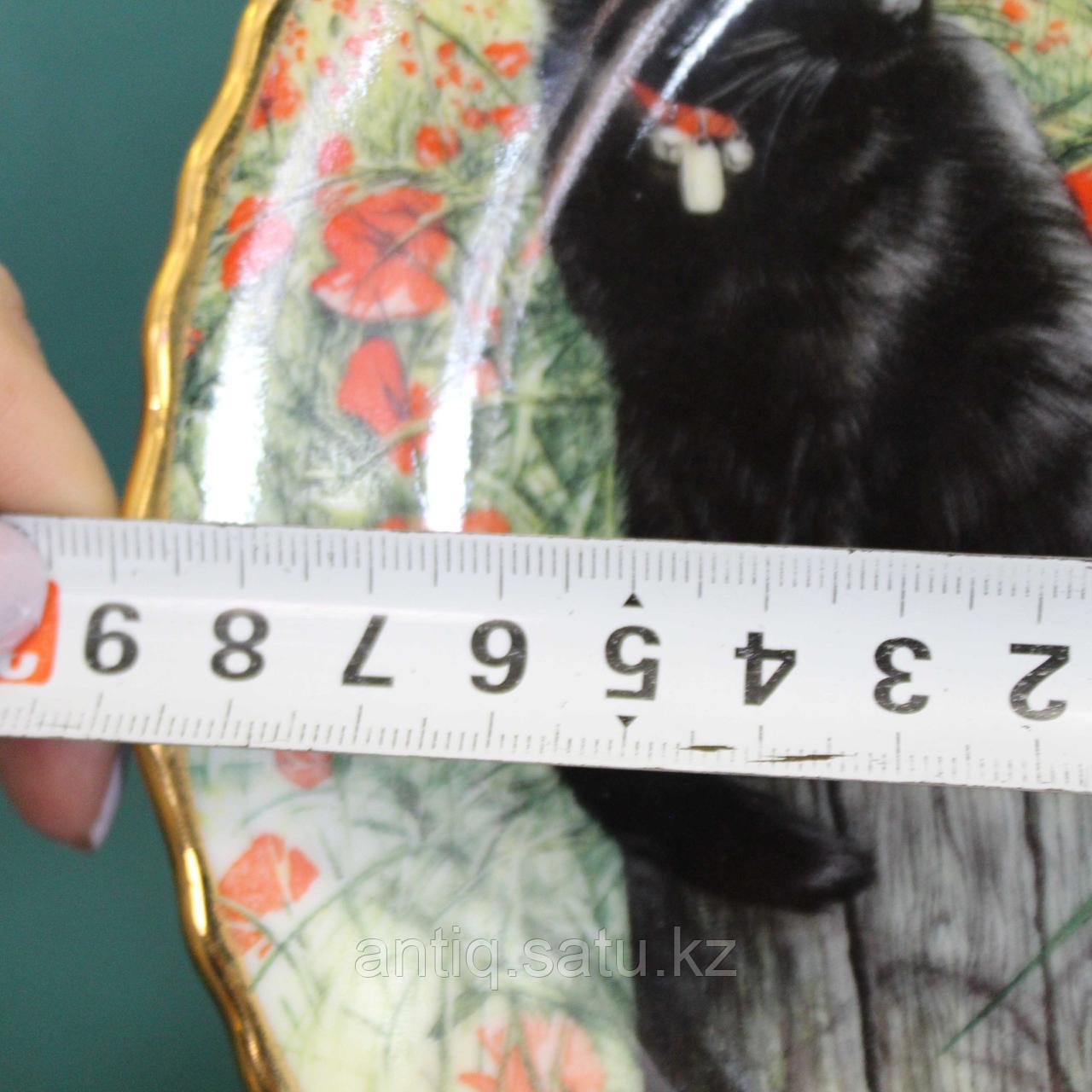 «Черные кошки» Коллекционная тарелка. Фарфоровая мануфактура Davenport ,Англия - фото 4 - id-p77094973