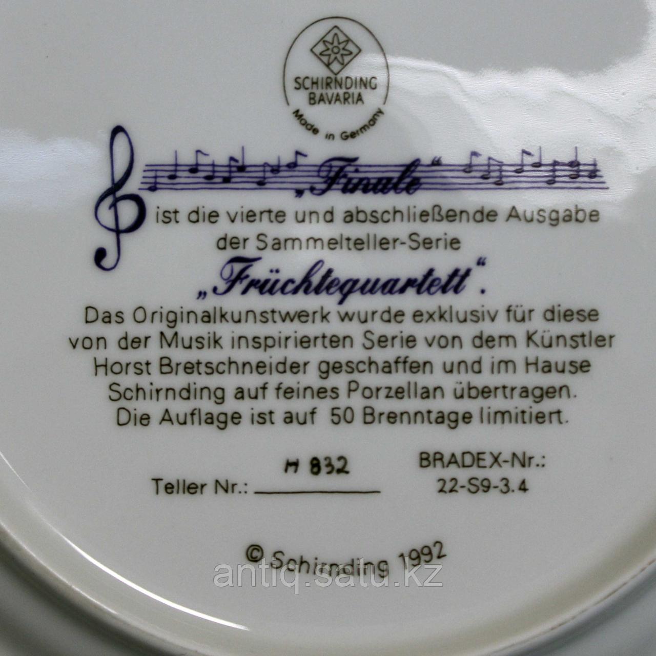 Редкая коллекционная тарелка-блюдо большого размера фирмы Ширндинг ( Schirnding) Бавария. - фото 3 - id-p77096204