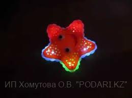 Морская звезда - музыкальная игрушка проектор