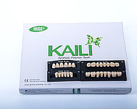Зубы акриловые HUGE KAILI